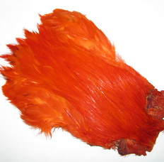 ������ ������ indian cape hot orange SM